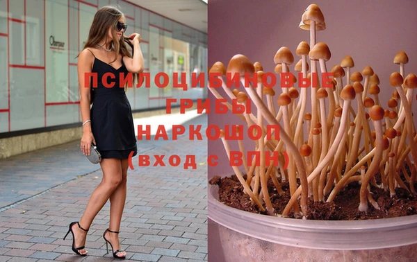 крисы Майский