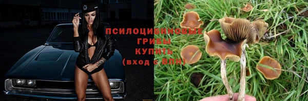 spice Магас